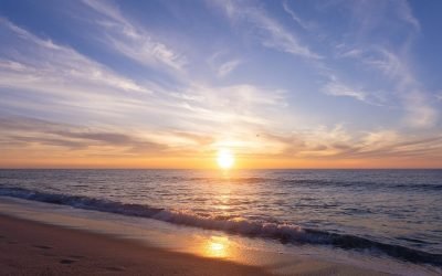 rasarit.jpg - ReactiveNews