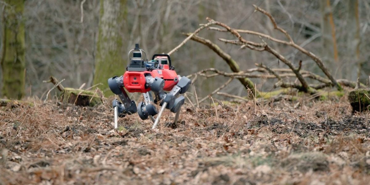 robotii-caini-care-scaneaza-padurile-defrisari.jpg - ReactiveNews