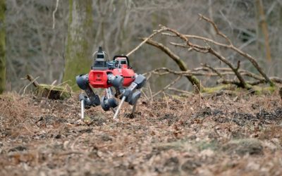 robotii-caini-care-scaneaza-padurile-defrisari.jpg - ReactiveNews