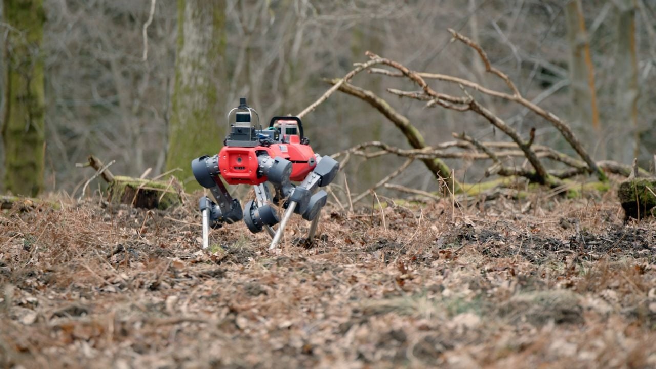 În pădurile din Marea Britanie și din alte părți ale Europei, începe o epopee silențioasă, dar extrem de semnificativă, în care tehnologia pășește nevăzut și, totodată, revoluționează modul în care privim și gestionăm ecosistemele forestiere