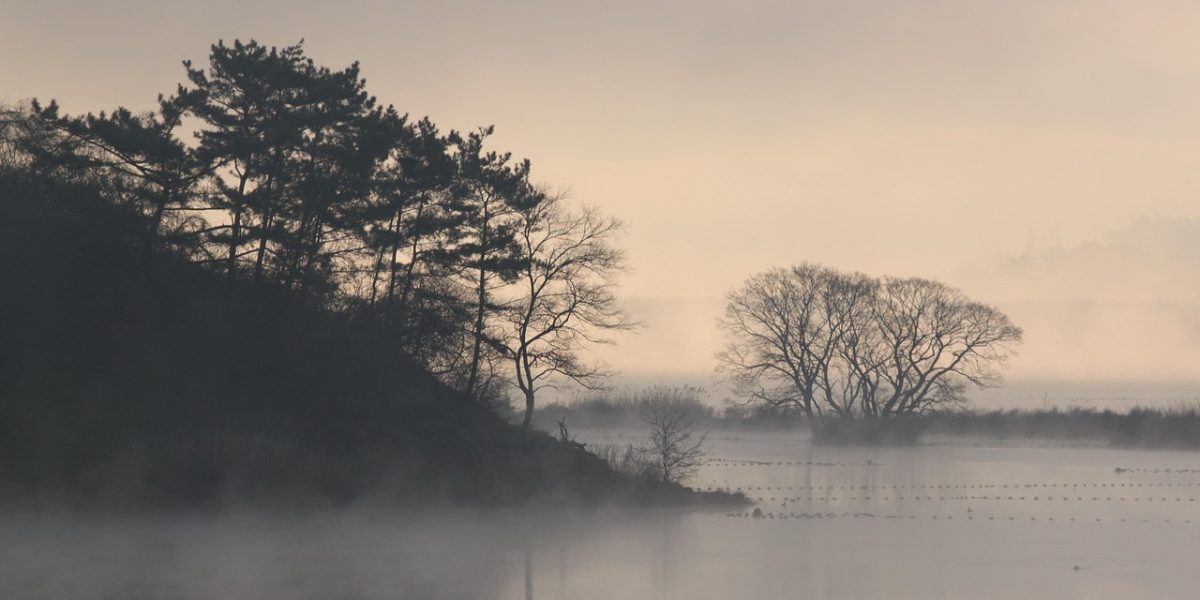 spinelee-bog-7426469_1280.jpg - ReactiveNews