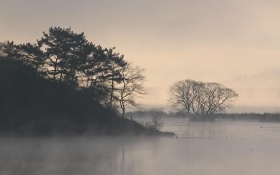 Ce indică scheletele din mlaștini despre epoca triburilor germanice