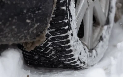 stratdezapada_INQUAM_Photos_Cosmin_Enache.webp.webp - ReactiveNews