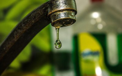 tap-4501207_1280.jpg - ReactiveNews