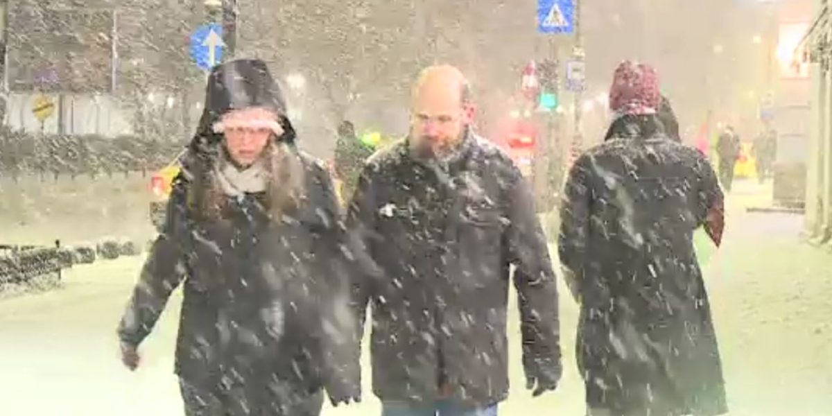 viscol-bucuresti.png - ReactiveNews