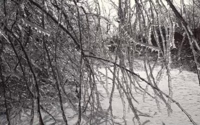 vlcsnap-2026-01-31-19h09m01s729.png - ReactiveNews