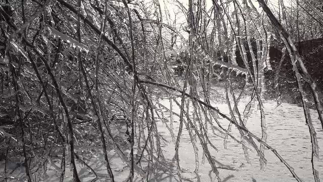 vlcsnap-2026-01-31-19h09m01s729.png - ReactiveNews