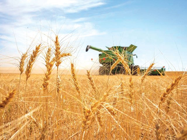 Iranul se pregătește pentru o importanță record de produse agricole în 1981, estimată la peste 3,3 miliarde de dolari, o summă semnificativă care reflectă eforturile sale de a-și acoperi nevoile interne în condițiile unor tensiuni economice și geopolitice