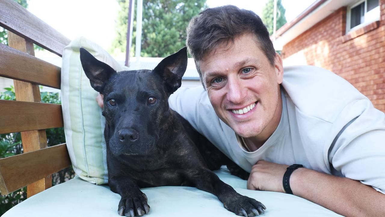 Andrei Baciu, deputat PNL, a făcut recent o afirmație inedită pe rețelele de socializare despre o poveste deosebit de ilustrativă în domeniul medicinei veterinare și al științei, care ar putea indica noi abordări în tratamentul cancerului