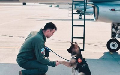 Militar-mort-e1773173603822.jpg - ReactiveNews