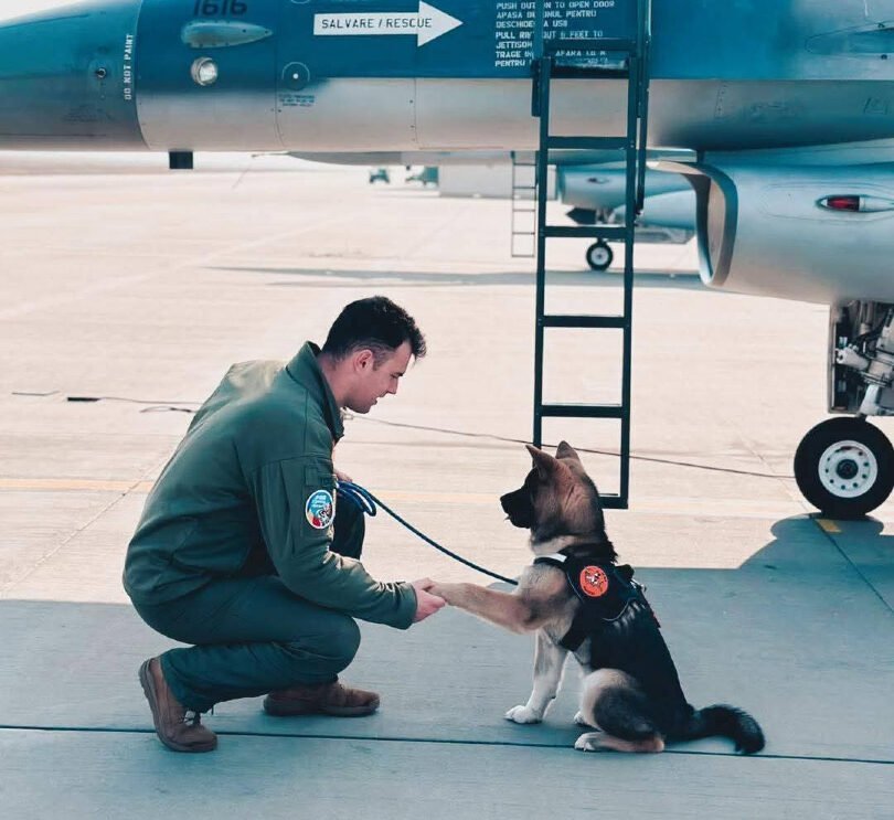 Tragedie la Baza 86 Aeriană „Locotenent Aviator Gheorghe Mociorniță” din Borcea, Călărași, unde un militar a murit în condiții șocante, într-un eveniment ce a zguduit sistemul militar românesc