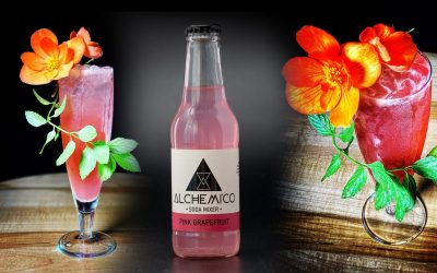 Paloma-1-scaled.jpg - ReactiveNews