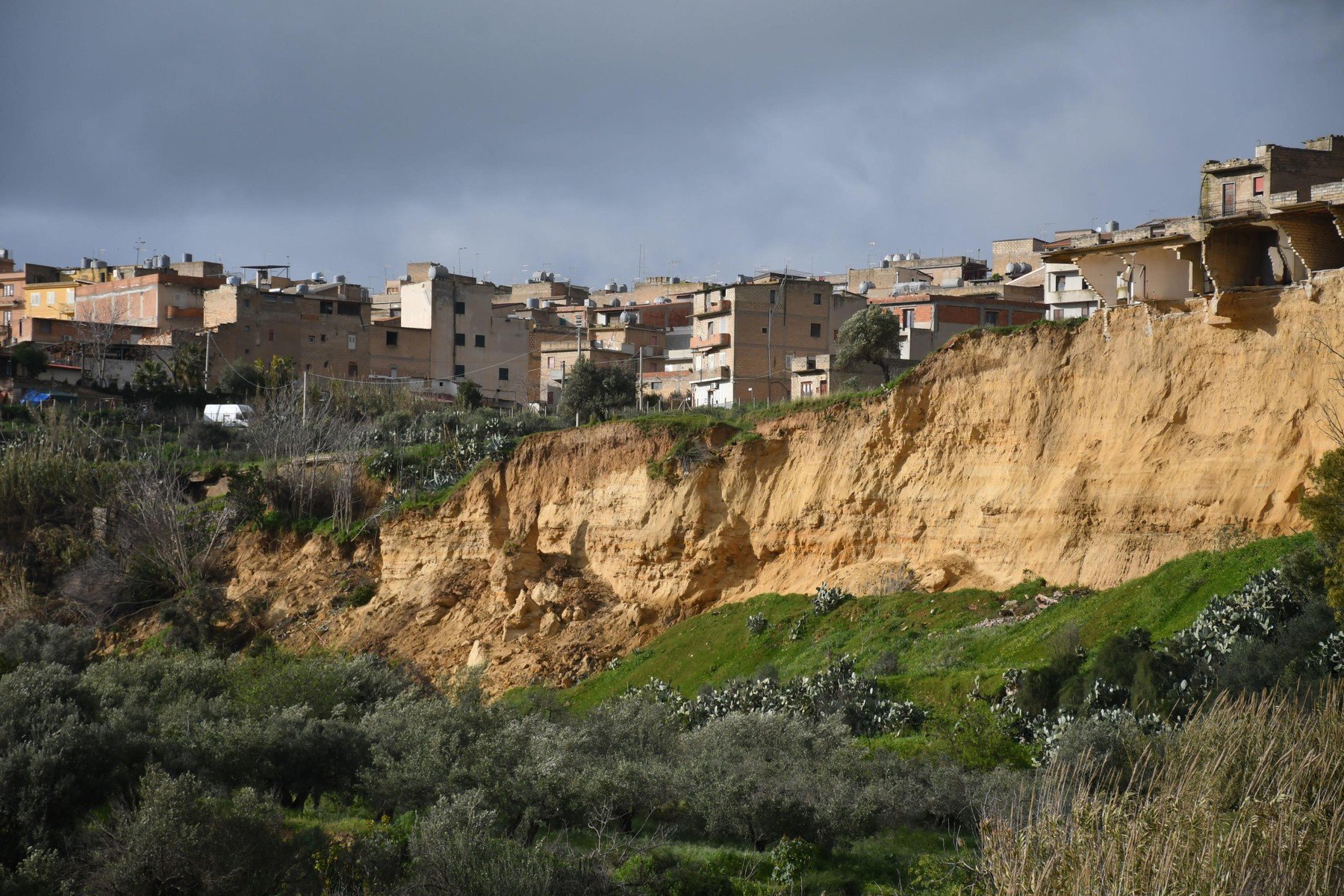 Sute de cărți rare salvate din bibliotecă aproape de colaps