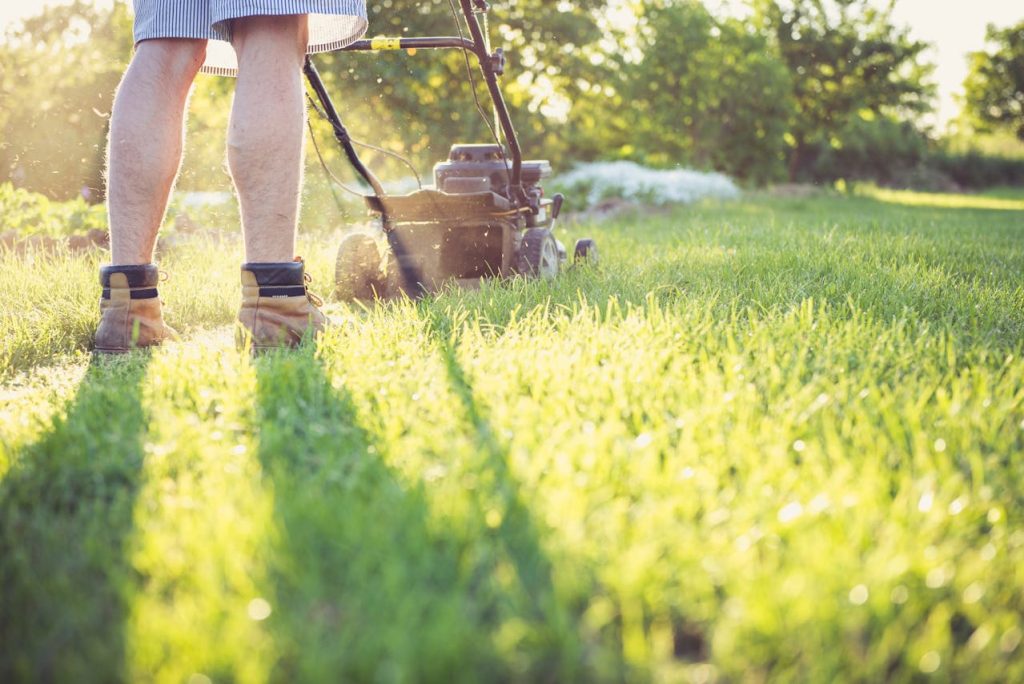 Sezonul de pregătire a gazonului: soluții simple pentru un teren perfect nivelat Primăvara se apropie cu pași repezi, iar pentru cei care doresc să își reîmprospăteze suprafața de gazon, momentul de a interveni devreme este deja peste prag