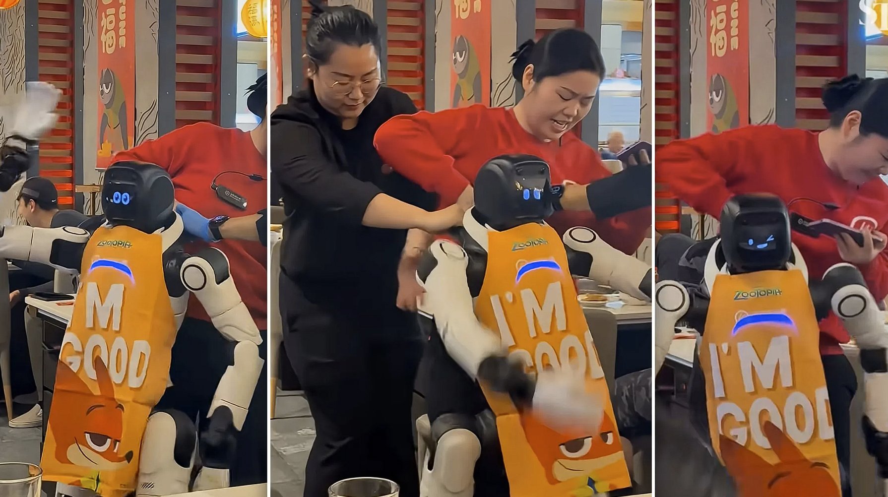 Un incident neobișnuit a avut loc recent într-un restaurant al lanțului Haidilao, cunoscut pentru experiențele gastronomice interactive și pentru inovarea în service, în special prin utilizarea robotizată