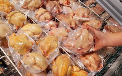 Sunt-sau-nu-vopsiti-puii-galbeni-din-comert-Explicatiile-producatorilor-si-ale-unui-profesor-univers.jpeg - ReactiveNews