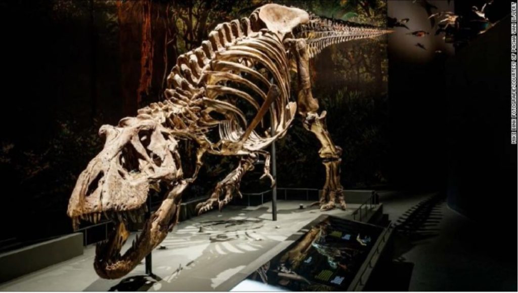 O descoperire arheologică revoluționară din nord-vestul Statelor Unite adaugă un capitol surprinzător în înțelegerea evoluției dinozaurilor predinostri