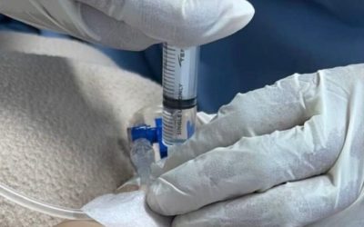 Decizie istorică în Spania: tânăra Noelia Castillo a obținut dreptul la eutanasie, deschizând un nou front în dezbaterea despre autonomie și etică medicală O tânără de 25 de ani, Noelia Castillo Ramos, a reușit în cele din urmă să obțină dreptul la eutanasie în Spania, după o lungă și tensionată bătălie juridică