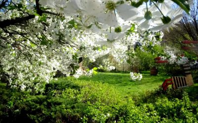 Vreme-neobisnuit-de-calda-in-Romania.jpg - ReactiveNews