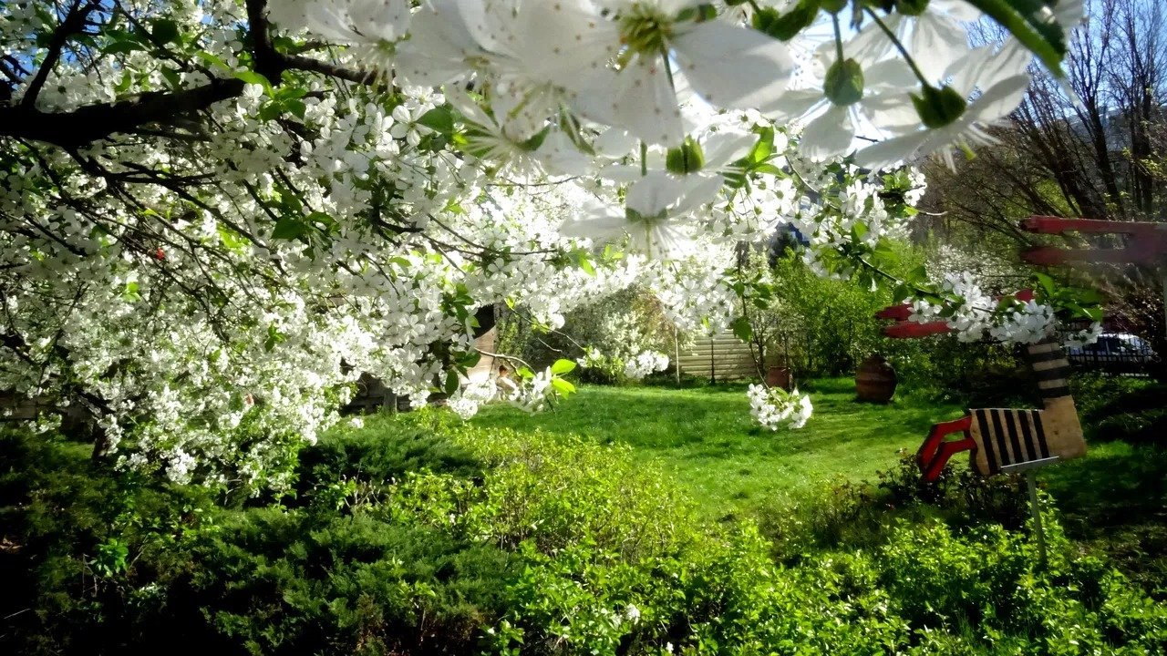 Vremea rămâne neobișnuit de caldă pentru această perioadă, chiar dacă luna martie își continuă trendul surprinzător de blând