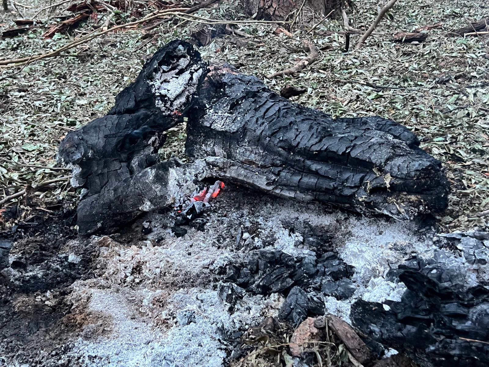 Apariție aeriană în apropierea frontierelor Ucrainei: avioane militare au fost autorizate să acționeze, confirmă oficialii români O demonstrație clară a tensiunilor la grade înalte pe frontierele estice ale României a avut loc vineri, când mai multe aeronave militare au fost mobilizate în regiune, după ce au fost detectate ținte aeriene pe direcția frontierelor cu Ucraina