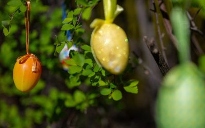 Meteorologii au actualizat prognoza pentru următoarele patru săptămâni, anunțând o fluctuație considerabilă a vremii până pe 20 aprilie