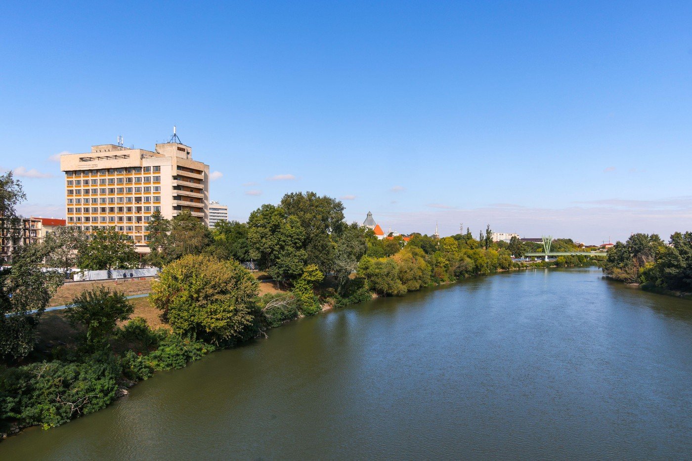 Animalele salbatice invadează orașul Arad, provocând îngrijorare printre localnici și autorități