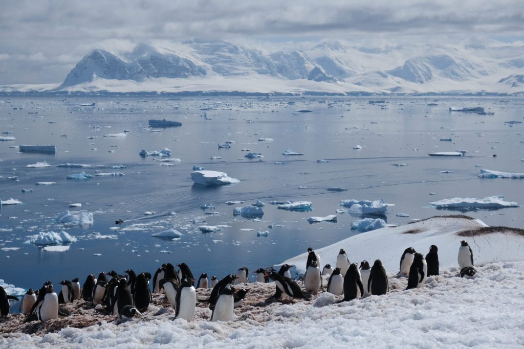 Oceanul Sudic — un mecanism subtil, dar esențial pentru climatul planetei noastre, dezvăluie un nou capitol în înțelegerea sa
