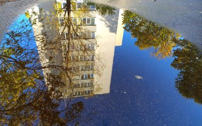 bloc-e1773339898247.jpg - ReactiveNews