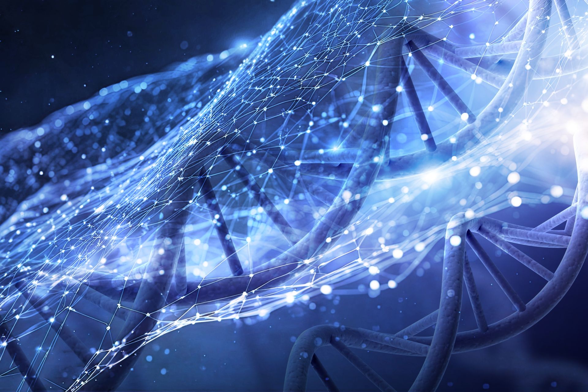 În adâncul Lacului Malawi, în Africa de Est, se află unul dintre cele mai fascinante exemple de evoluție rapidă și spectaculoasă a speciilor