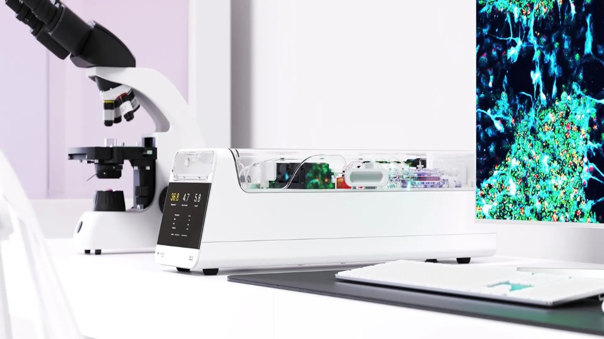 Cercetare revoluționară: neuronii umani învață să joace Doom, deschizând noi frontiere ale calculului biologic Un grup de cercetători din Australia a realizat o performanță fără precedent în domeniul interacțiunii dintre biologie și tehnologie, demonstrând pentru prima dată că celulele cerebrale umane pot învăța să joace un joc video complex precum Doom, conectate la un hardware specializat