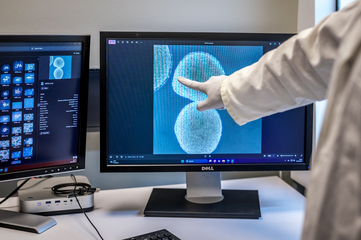 Creierul uman, mai mult decât un centru de procesare a informațiilor, pare a fi un GPS pentru gânduri și amintiri