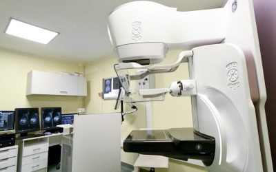 dreamstime_m_251462367-1024x651.jpg - ReactiveNews