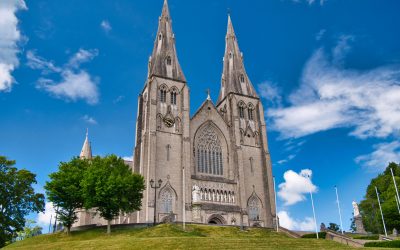 dreamstime_xxl_225932393-scaled.jpg - ReactiveNews