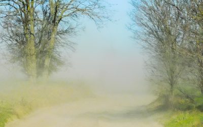 furtuna-uragan-vant-puternic-nisip-praf-ungaria2.jpg - ReactiveNews