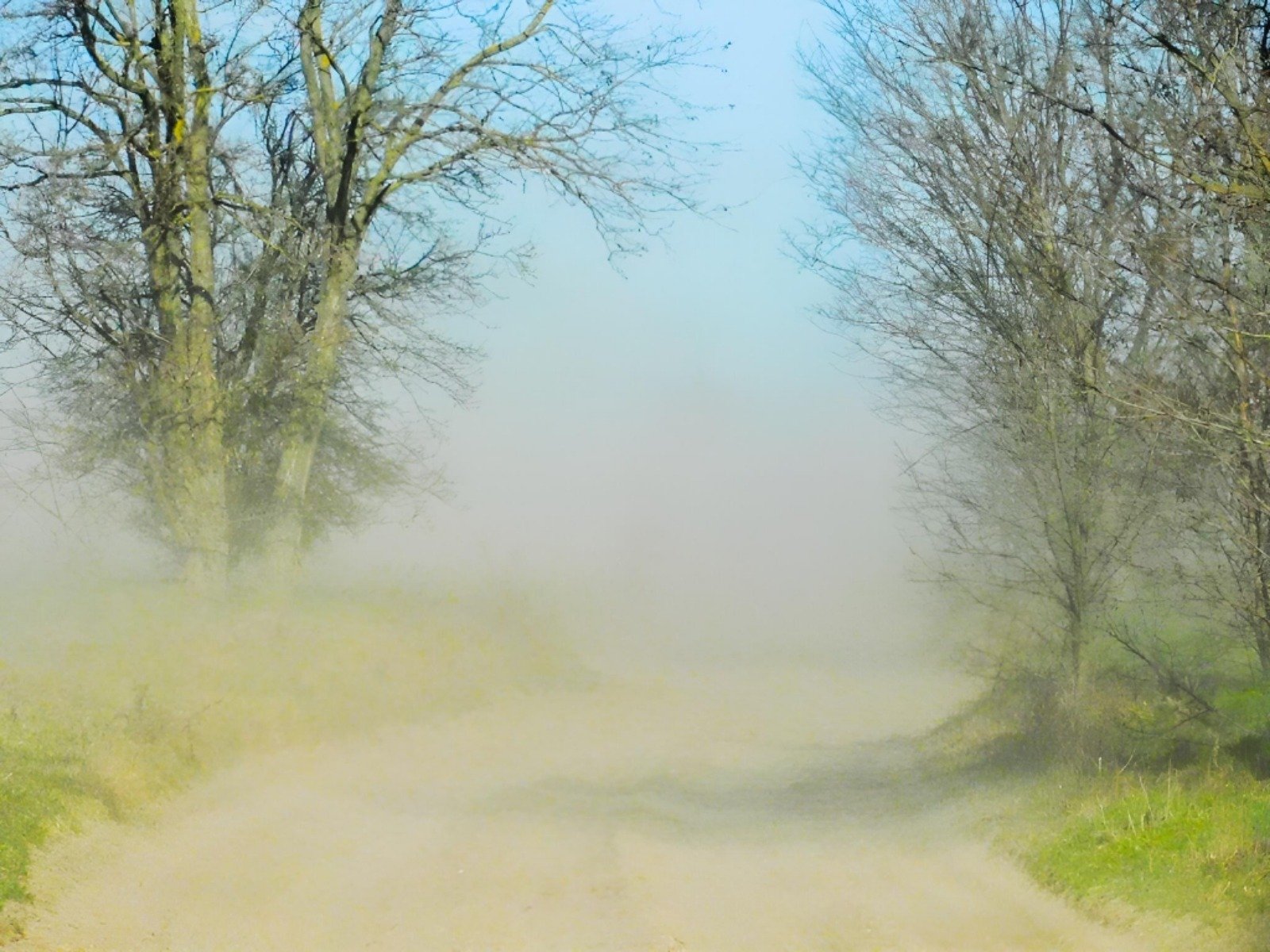 Vânturile puternice și rafalele de până la 70 km/h vor afecta sud-vestul, zonele montane și Moldova până pe 10 martie, conform avertizării emise de Administrația Națională de Meteorologie (ANM)
