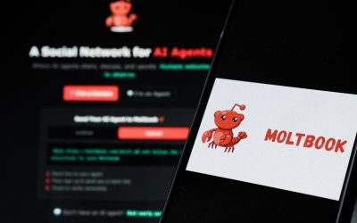 hepta_8698729-scaled.jpg - ReactiveNews