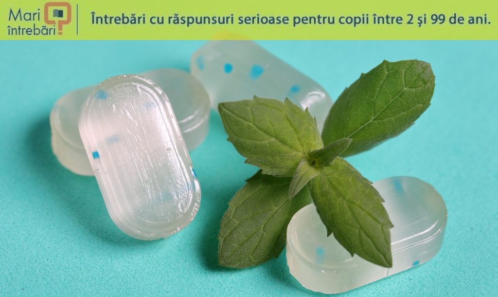 De ce menta provoacă senzație de răceală?