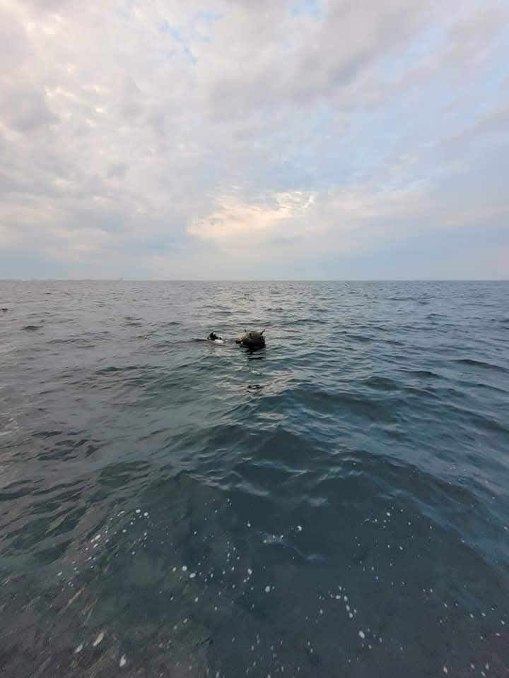 Tensiuni în Marea Neagră: minele marine și acuzațiile reciproce între Rusia și Ucraina Incidentul legat de minele marine din Marea Neagră escaladează, iar declarațiile consecutive ale Rusiei și ale României complică și mai mult situația already tensionată din regiune