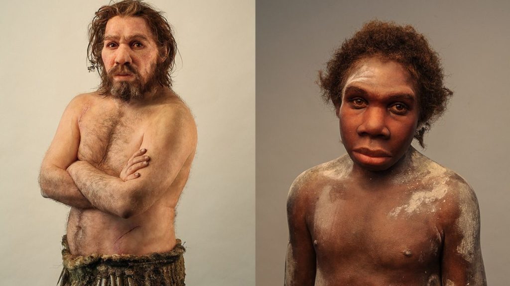 Reconstrucția unei migrări dispersate: Ce ne învață ADN-ul despre ultimele refugii ale Neanderthalienilor în Europa Un nou studiu extrem de revelator arată că, în ultimele milenii ale existenței lor, Neanderthalienii din Europa au suferit o reducere drastică a diversității genetice, trăind într-un mod ce seamănă cu o retragere forțată pe măsură ce climatele dinaintea și după ultimele perioade glaciare au devenit tot mai ostile