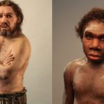 neanderthalieni-experiment-gena-umana.jpg - ReactiveNews