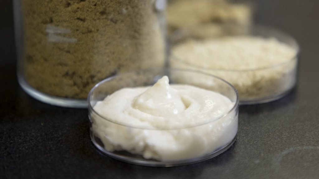 Orezul, un aliment de bază în dieta mondială, devine din ce în ce mai interesant pentru producția de brânzeturi vegetale, nu doar pentru versatilitatea sa, ci și pentru potențialul de a oferi o alternativă nutritivă și sustenabilă
