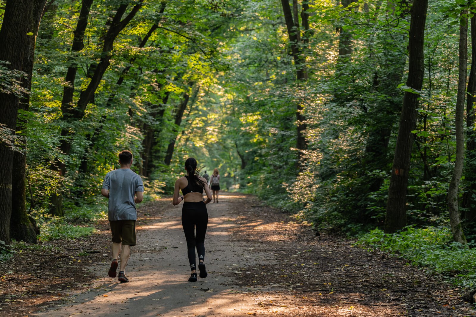 Proiect de protejare pentru pădurea Băneasa: un pas esențial pentru conservarea unuia dintre cele mai mari spații verzi din Nordul Bucureștiului Autoritățile din domeniul mediului și reprezentanții administrației locale pun în mișcare un proiect ambițios de a transforma pădurea Băneasa dintr-un teren vulnerabil în cadrul urban al Capitalei într-o arie naturală protejată oficial
