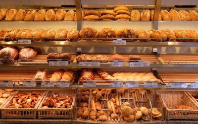 paine-e1693514795355.jpg - ReactiveNews