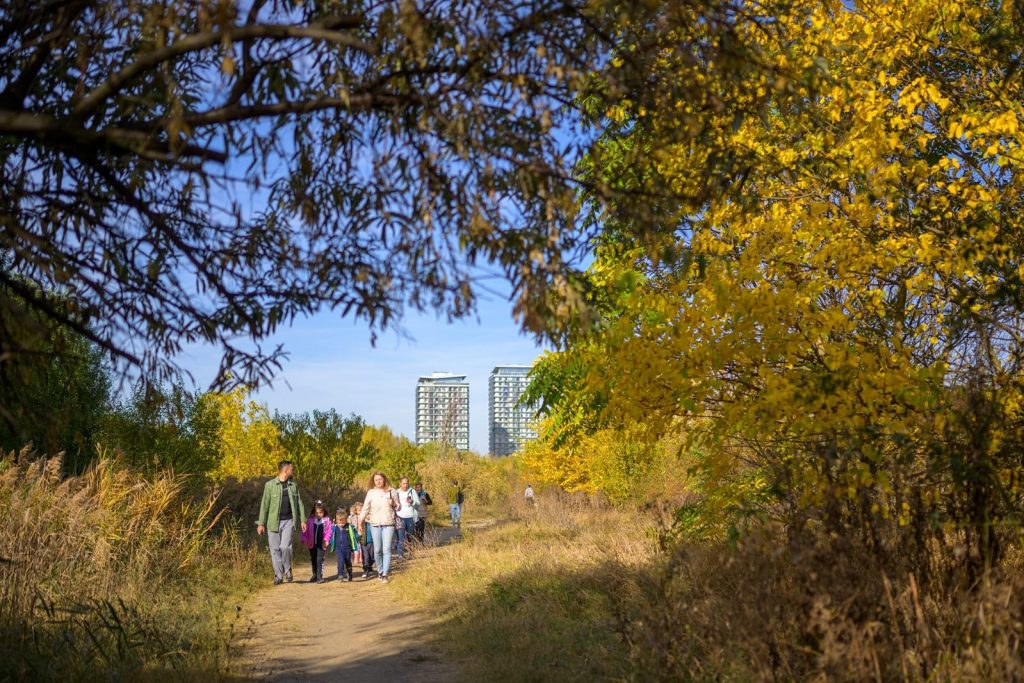 Elevii și profesorii bucureșteni vor avea parte de o săptămână dedicată adevăratei conexiuni cu natura, după ce Asociația Parcul Natural București a lansat un ghid menit să stimuleze activitățile ecologice în școli