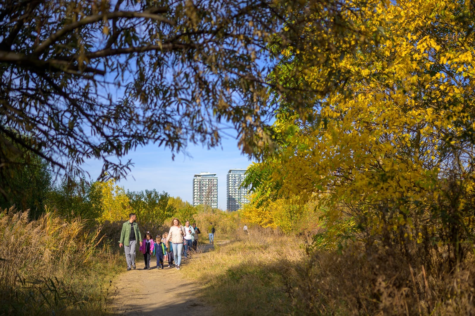 Elevii și profesorii bucureșteni vor avea parte de o săptămână dedicată adevăratei conexiuni cu natura, după ce Asociația Parcul Natural București a lansat un ghid menit să stimuleze activitățile ecologice în școli