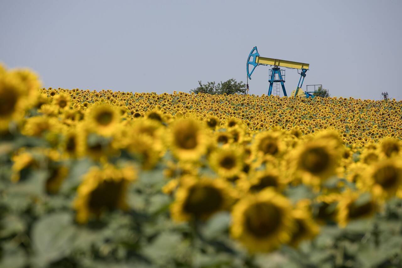 OMV Petrom prognozează un profit de aproape 2,84 miliarde de lei pentru 2023, o cifră ușor în scădere față de anul precedent, reflectând impactul volatilei piețe globale a energiei asupra celui mai mare producător de petrol și gaze din Europa de Sud-Est