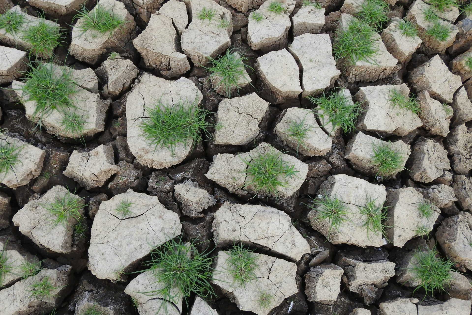 Europa caută experți pentru a face față crizei apelor: lansarea platformei strategice în contextul schimbărilor climatice Europa se află în fața unei noi provocări majore: gestionarea resurselor de apă într-un climat tot mai imprevizibil și sub presiunea unor factori diverși, de la schimbările climatice și utilizarea nesustenabilă până la tensiunile geopolitice