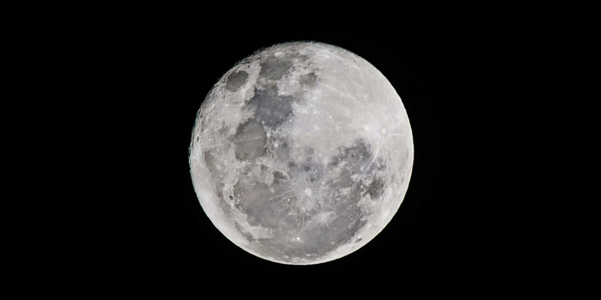 pexels-brunoscramgnon-596134-scaled.jpg - ReactiveNews