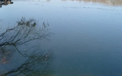 poluare-nistru-republica-moldova-ajutor-romania-20.jpeg - ReactiveNews